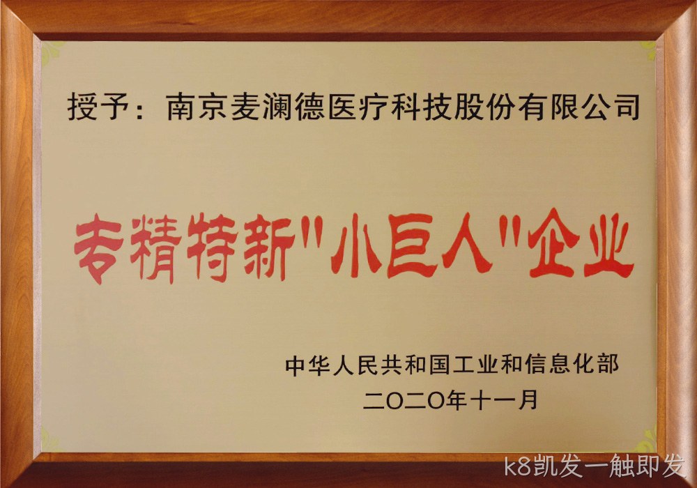 工信部专精特新小巨人企业